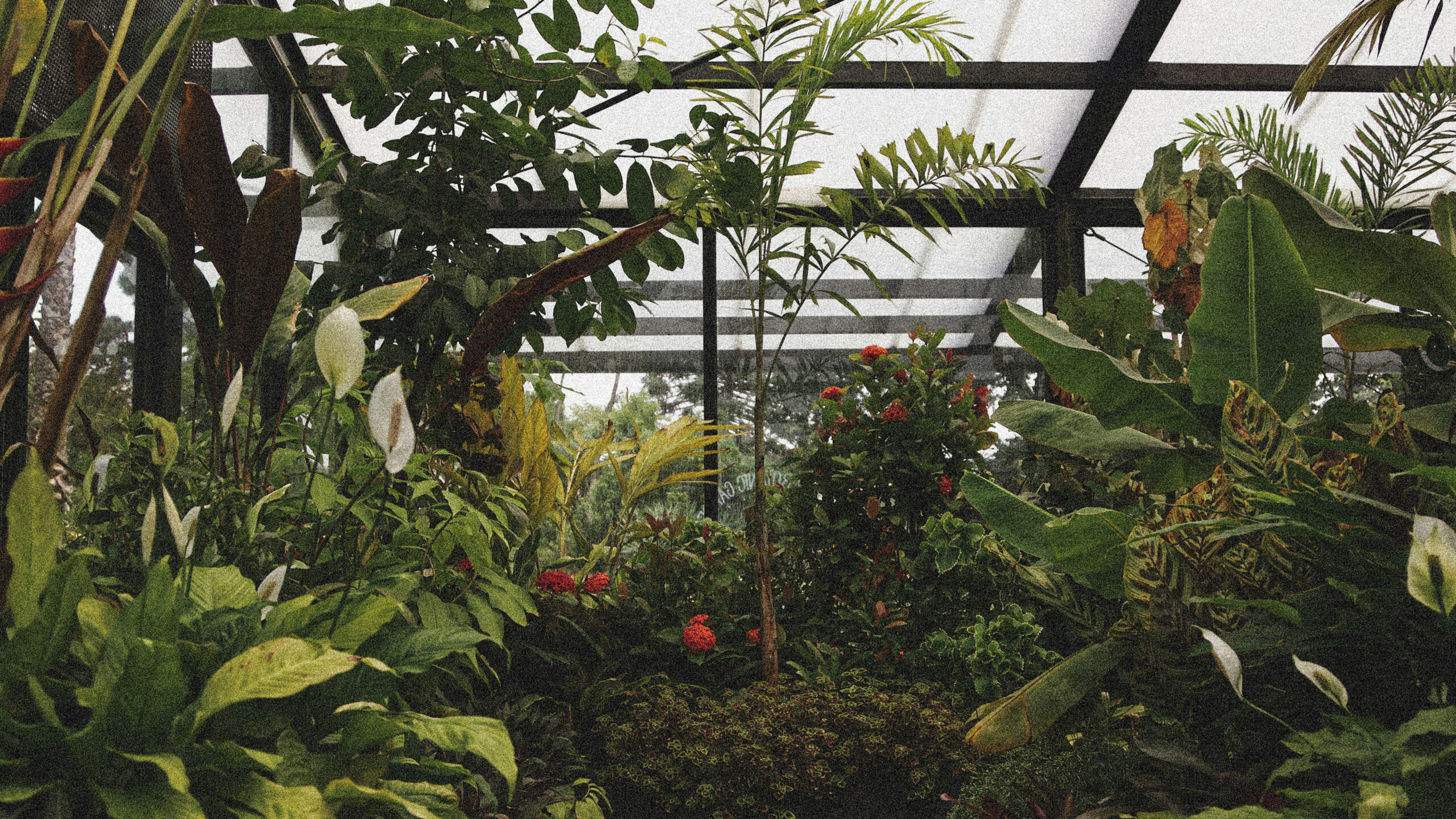 Sunroom Society